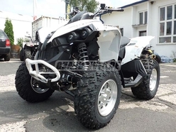 Can-Am Renegade 500 - Aktionspreis